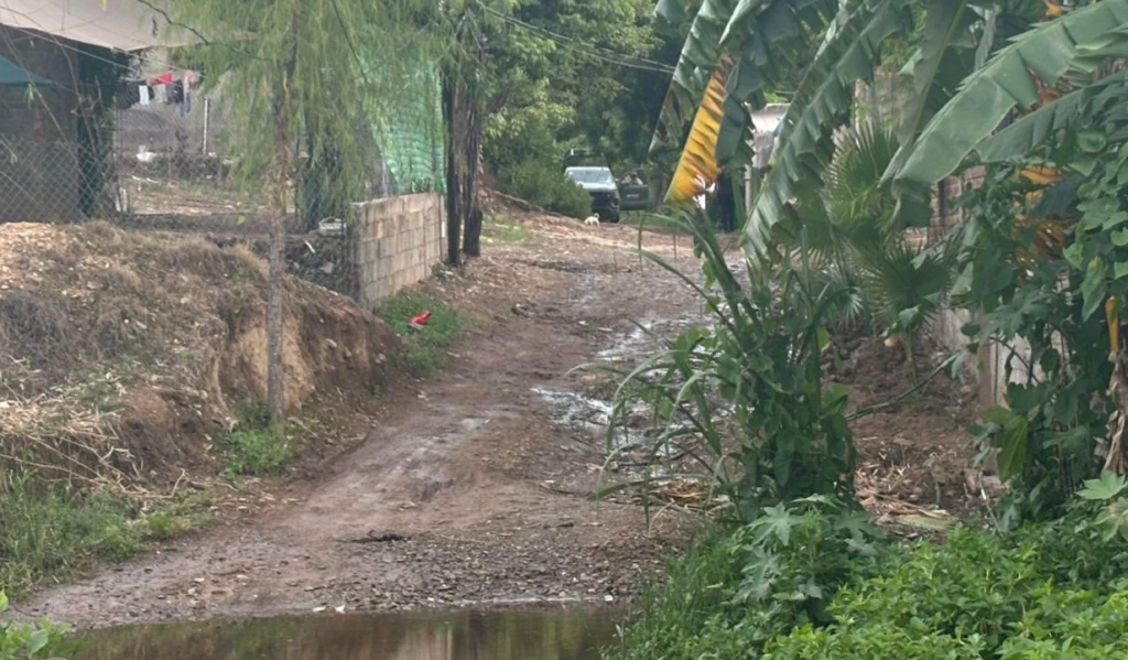 Hallan a hombre asesinado junto a un caballo en zona de invasión al oriente de Culiacán