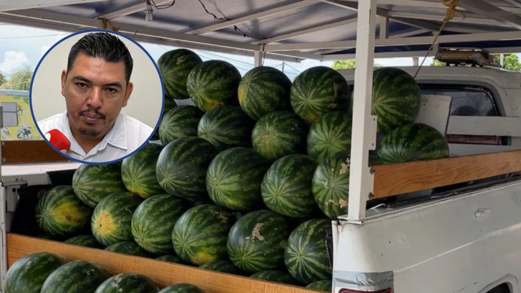 ¡Ya viene la temporada de sandía para los productores de Choix!