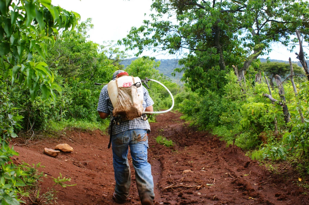 Retos y oportunidades de México en inocuidad agroalimentaria y pesquera