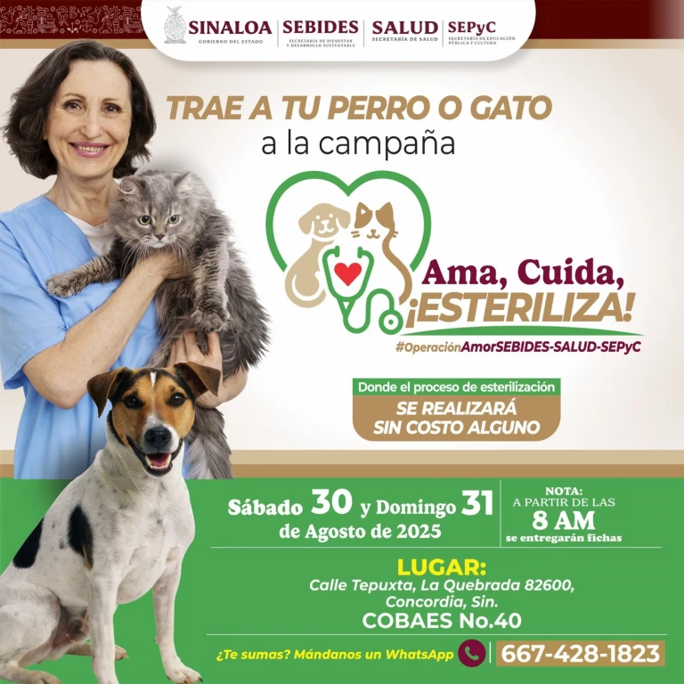 Campaña gratuita de esterilización de perros y gatos en Concordia