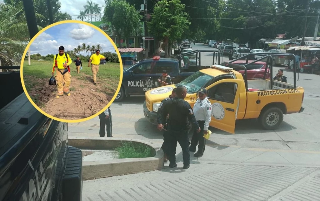 ¡Atentos! Reportan ataque de abejas a dos adultos mayores en Guasave