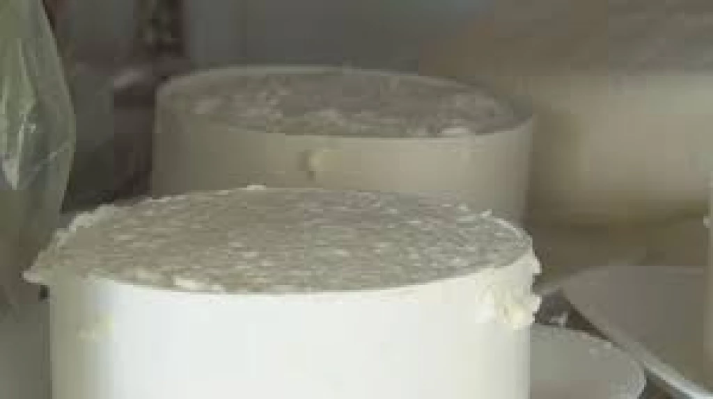 ¿Notaste un sabor dulce en tu queso fresco? Quizás te están vendiendo un queso elaborado con leche en polvo