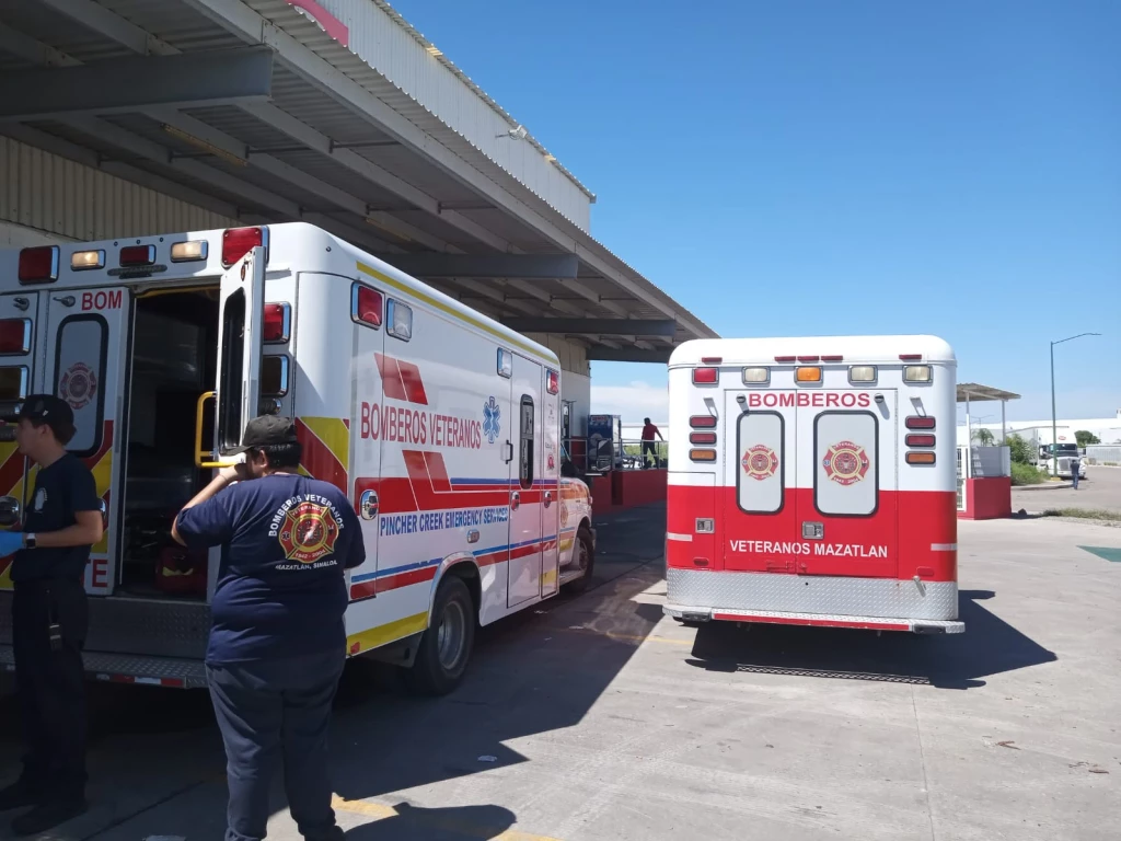 Ataque de abejas deja a 2 trabajadores en condición de gravedad en Mazatlán