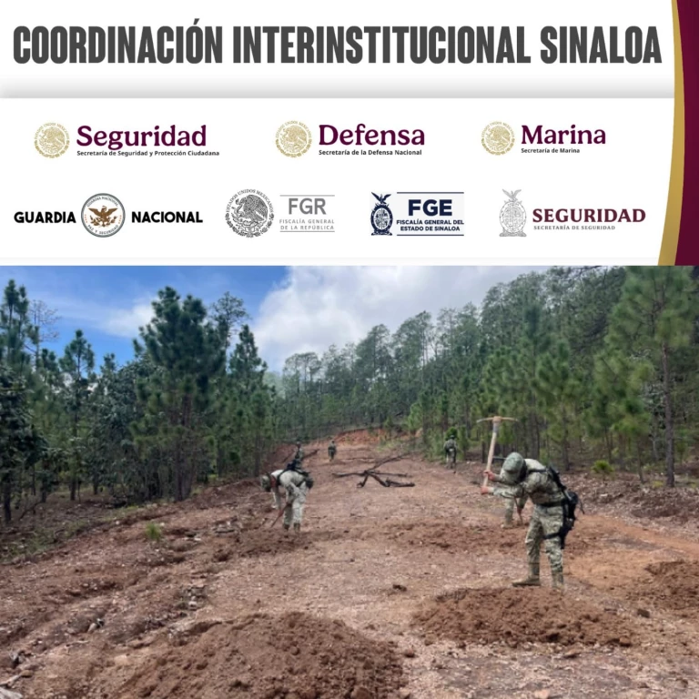 Grupo Interinstitucional asegura e inhabilita pista de aterrizaje clandestina en Choix