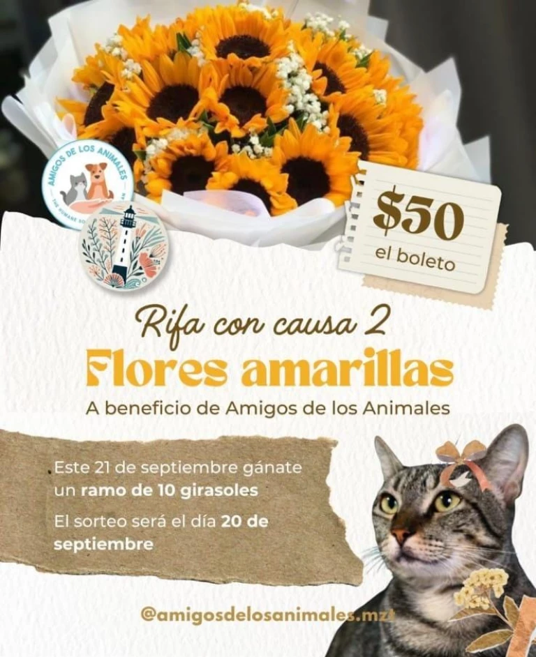 Rifa con causa “Flores Amarillas” en apoyo al Refugio Amigos de los Animales Mazatlán
