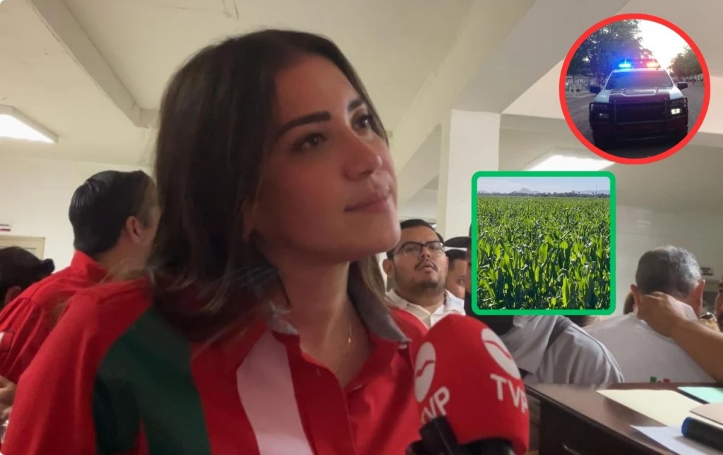 "Nada para Sinaloa en el Presupuesto 2026": Paloma Sánchez