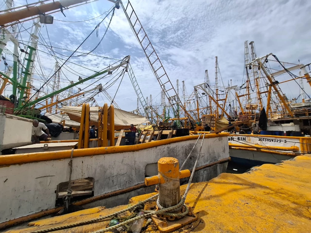 Sector pesquero de altamar en Mazatlán se prepara con dificultades para la apertura de la veda