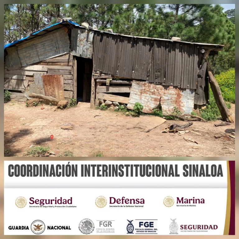 Tras agresión, Grupo Interinstitucional asegura armas, cargadores y droga en Cosalá