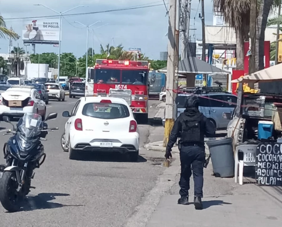 Peatones son atacados por abejas en la parada de camiones en Mazatlán
