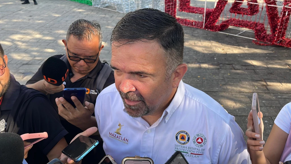 En Mazatlán se han registrado cuatro ataques de abejas en los últimos dos meses