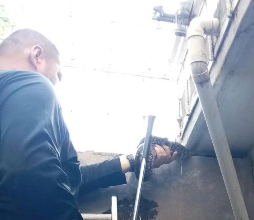 PC Culiacán y GEPA capturan otra serpiente; ahora en el patio de una vivienda en Valle Alto