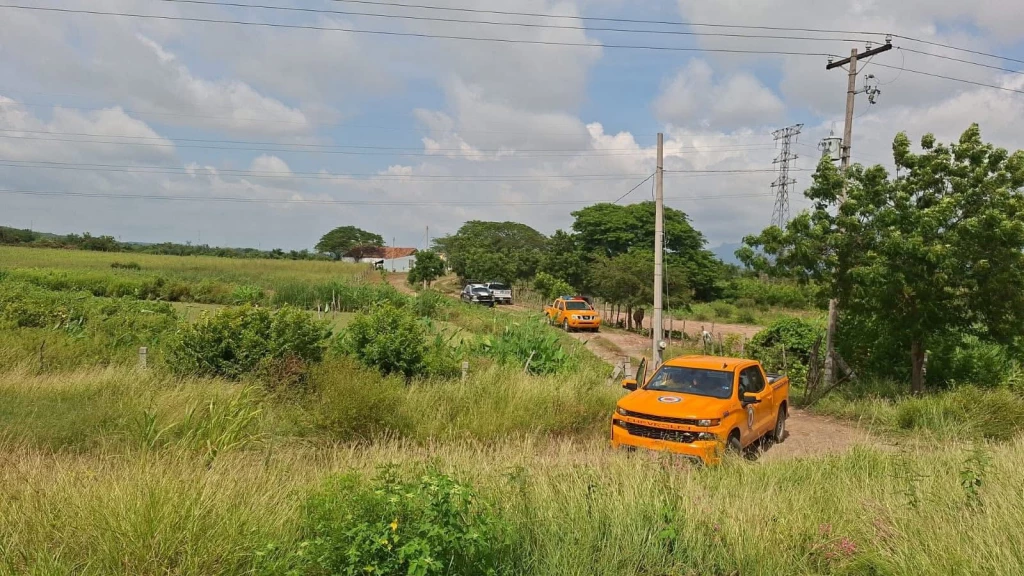 Dos hombres pierden la vida tras ser atacados por abejas en un rancho cerca de La Urraca, Mazatlán 