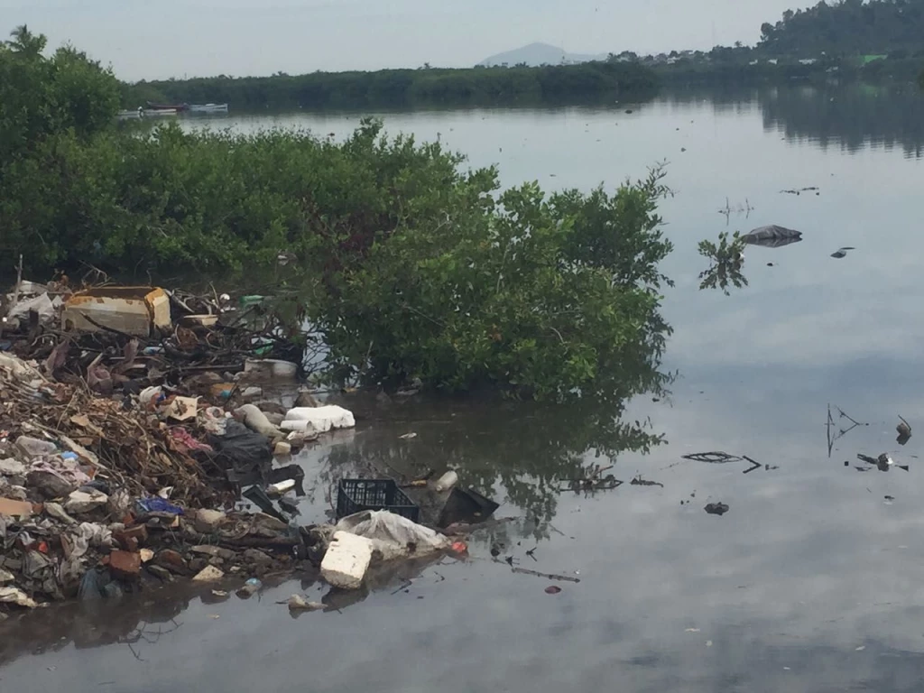 Hasta dos denuncias a la semana recibe Ecología de personas que son sorprendidas tirando basura en cuerpos de agua