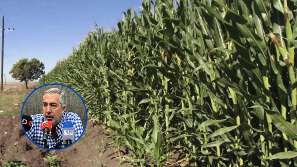La intención del gobernador Rocha de apoyar a los agricultores de Sinaloa es buena: AARFS