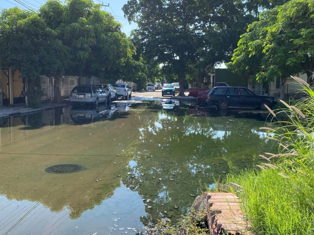 Vecinos del Infonavit Macapule en Los Mochis denuncian vivir entre aguas negras