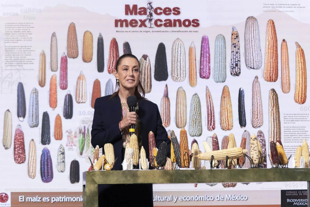 Gobierno Federal impulsará un banco de germoplasma para conservar el maíz