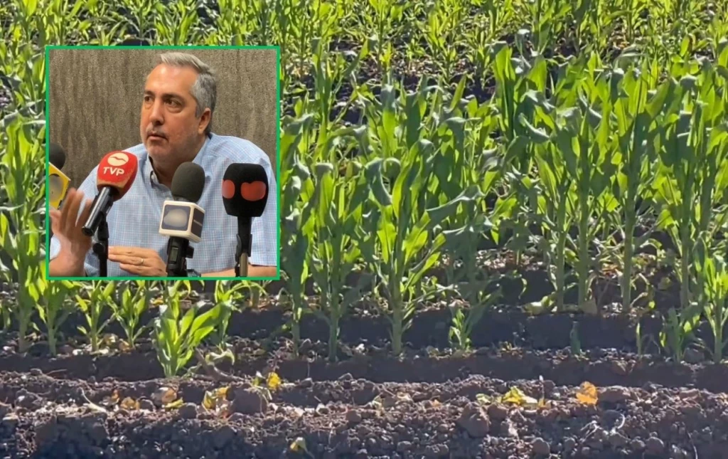 “Deberemos optimizar volúmenes de agua”: AARFS
