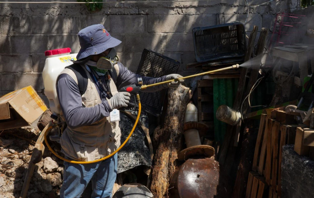 Intensifican acciones para controlar el dengue en Sonora