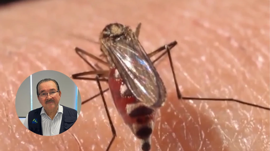 Aumentan los casos de dengue en la zona norte de Sinaloa