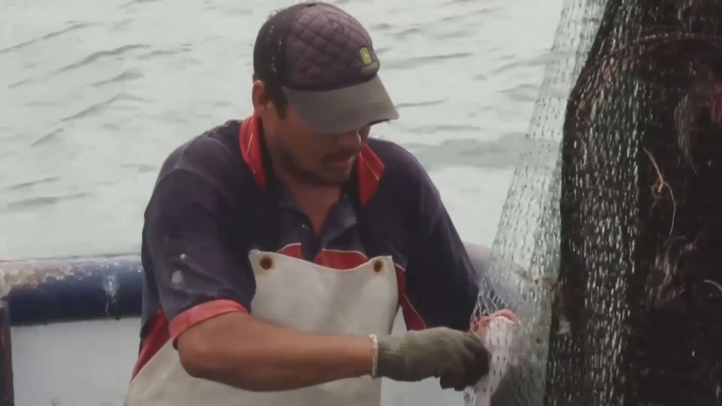 Serán 3 mil 750 pesos el apoyo a pescadores