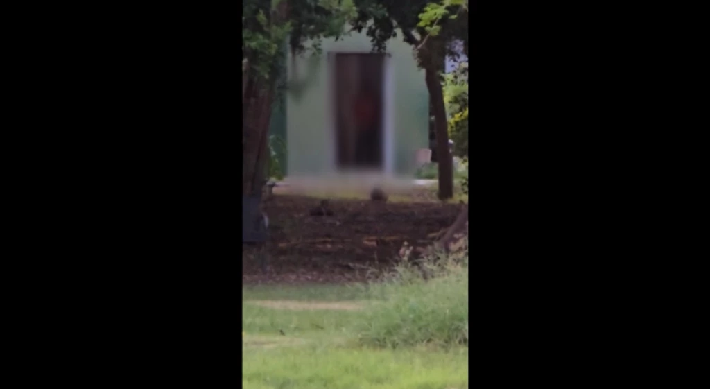 ¡Alerta! Detienen a exhibicionista en el Parque Sinaloa!