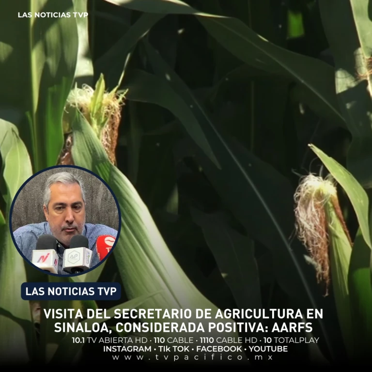 Visita del secretario de Agricultura Federal a Sinaloa, considerada positiva: AARFS