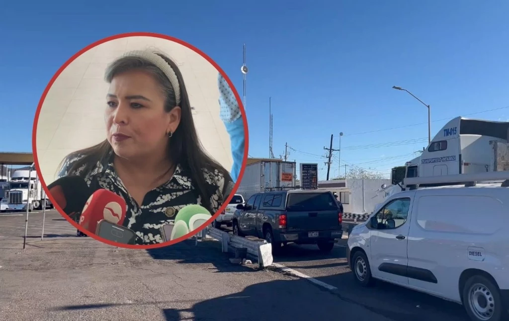 “Estamos trabajando para dar una solución a los agricultores”: Diputada Federal Ana Ayala