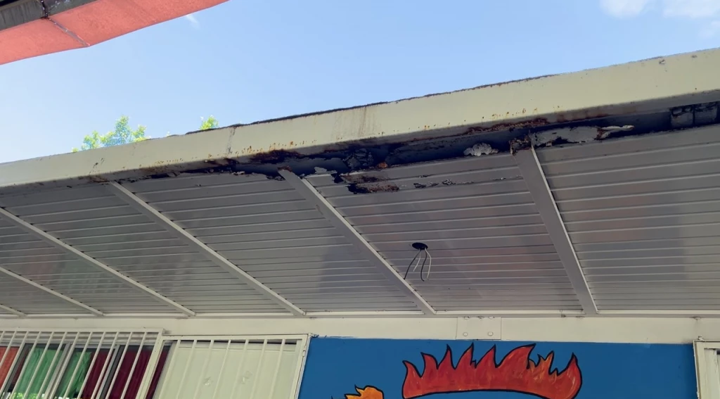 Jardín de Niños Angela Lund Gómez enfrenta problemas con abejas y techos deteriorados en Mazatlán