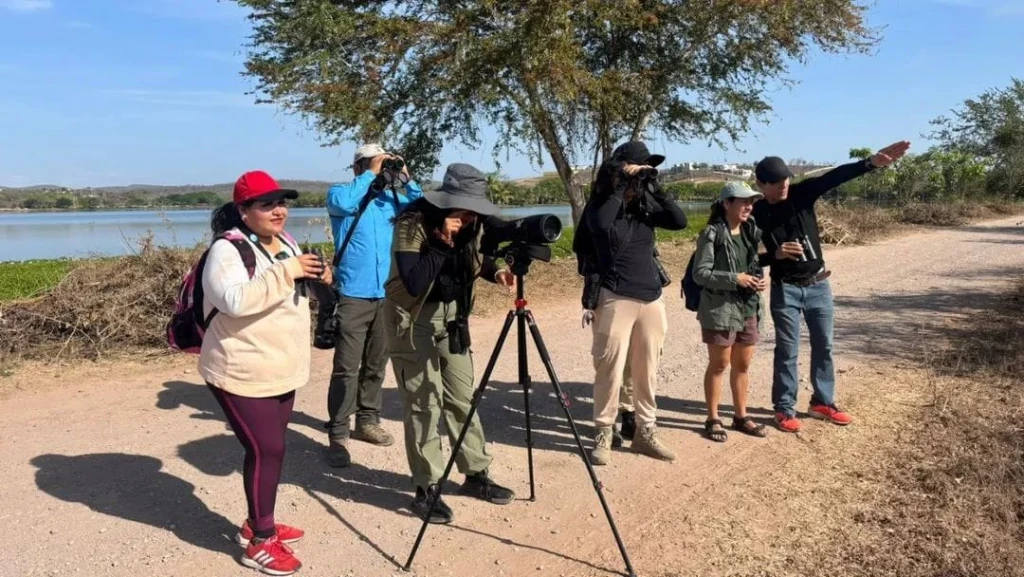La observación de aves como una forma de conectar con la naturaleza en Mazatlán