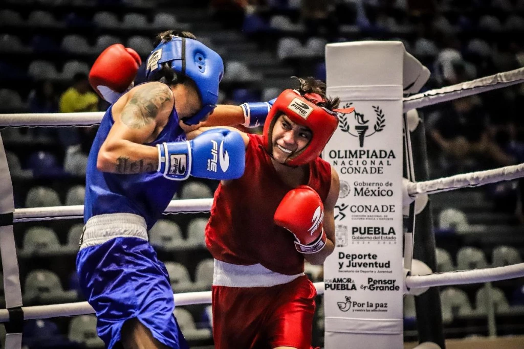 Sonorenses ganan oro y plata en torneo de boxeo en España