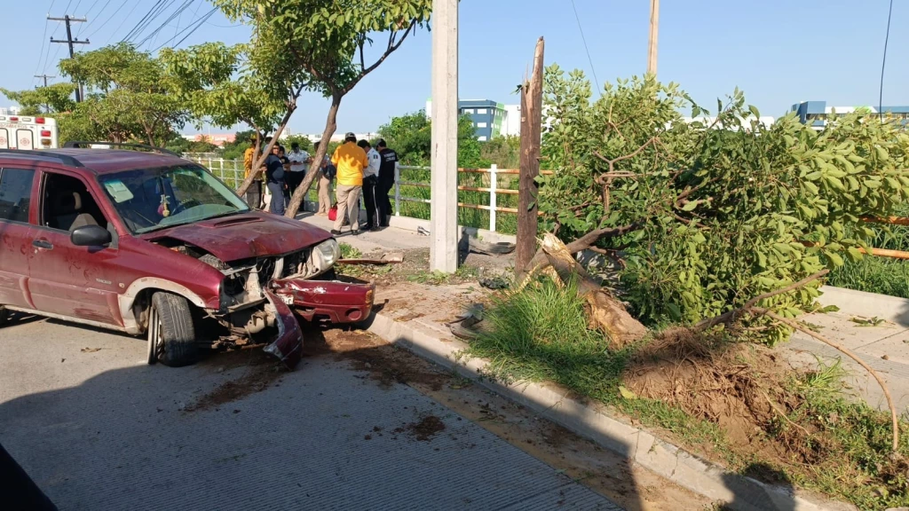 Camioneta choca contra árbol y lo derriba en la avenida Rafael Buelna de Mazatlán