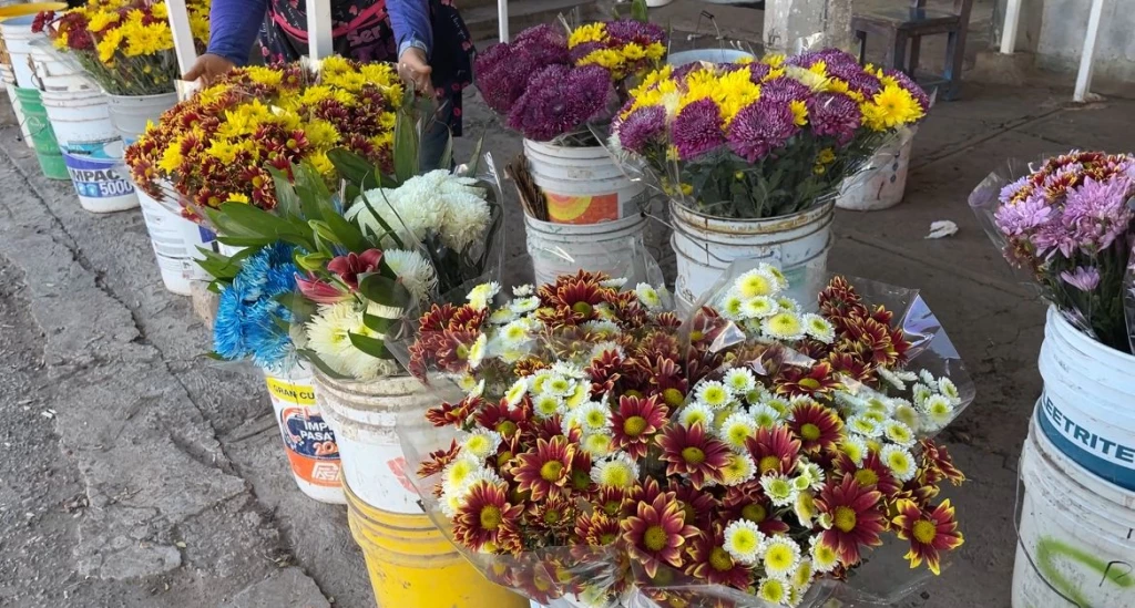 Floristas de Los Mochis se preparan para las ventas de Día de Muertos