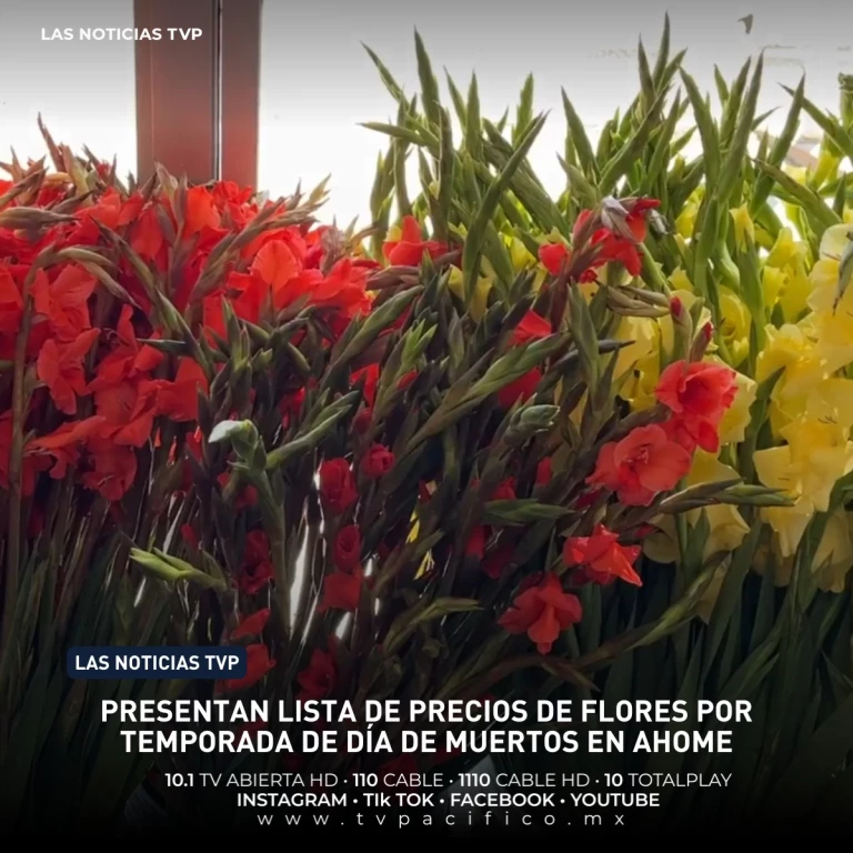 Presentan lista de precios de flores por temporada de Día de Muertos en Ahome