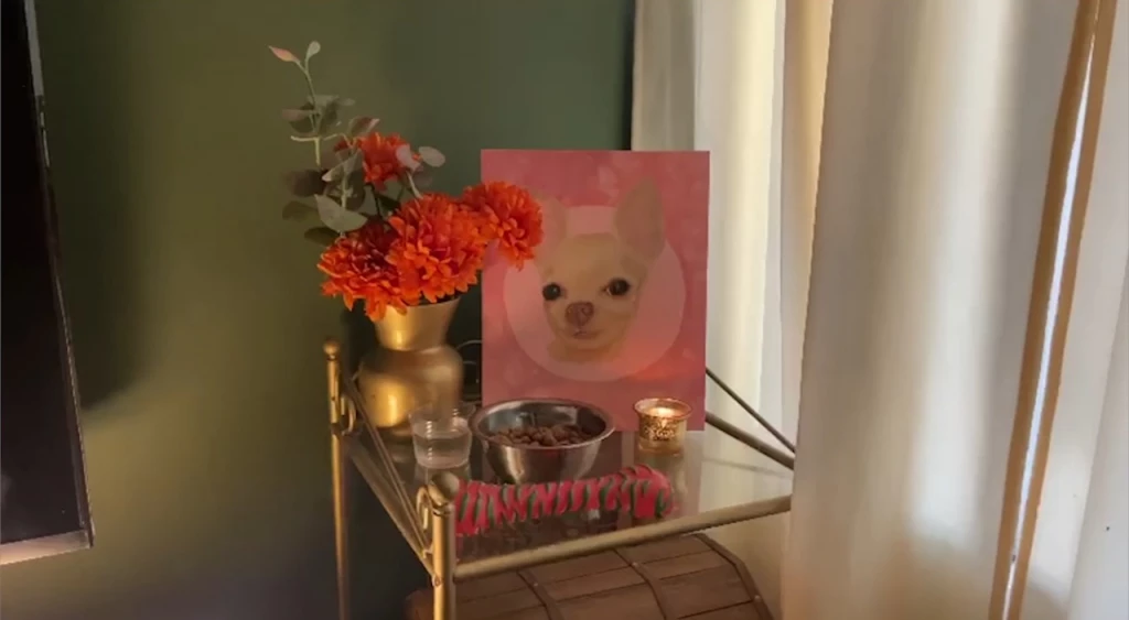 Memorias en un altar: las mascotas que partieron son celebradas este 27 de octubre