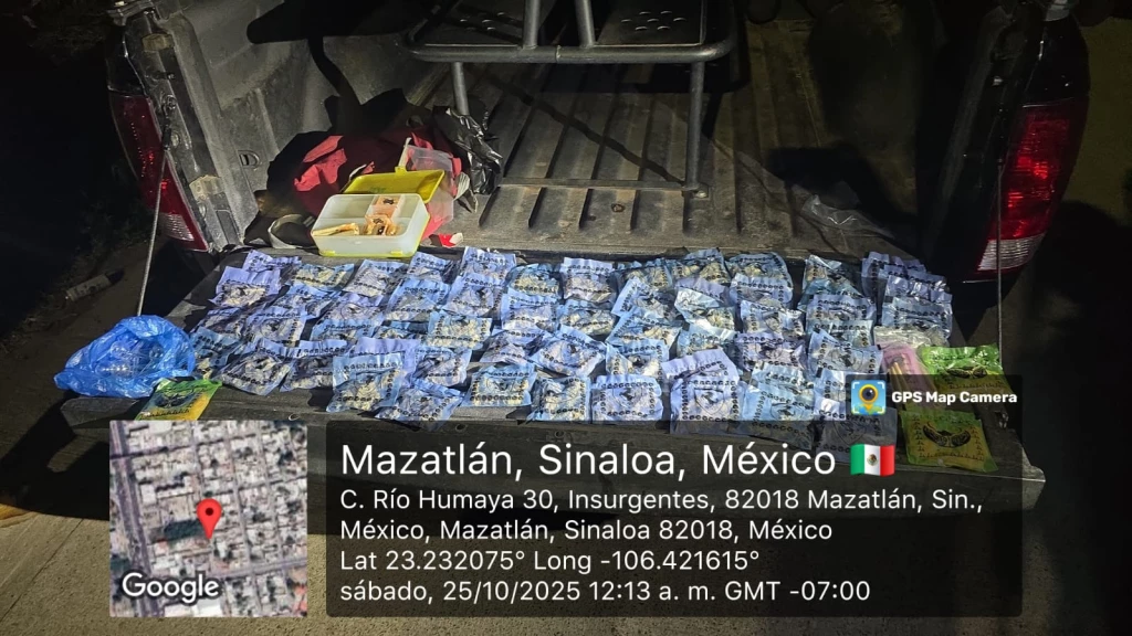 Fuerzas Armadas aseguran objetos ilícitos y armamento en municipios del sur de Sinaloa