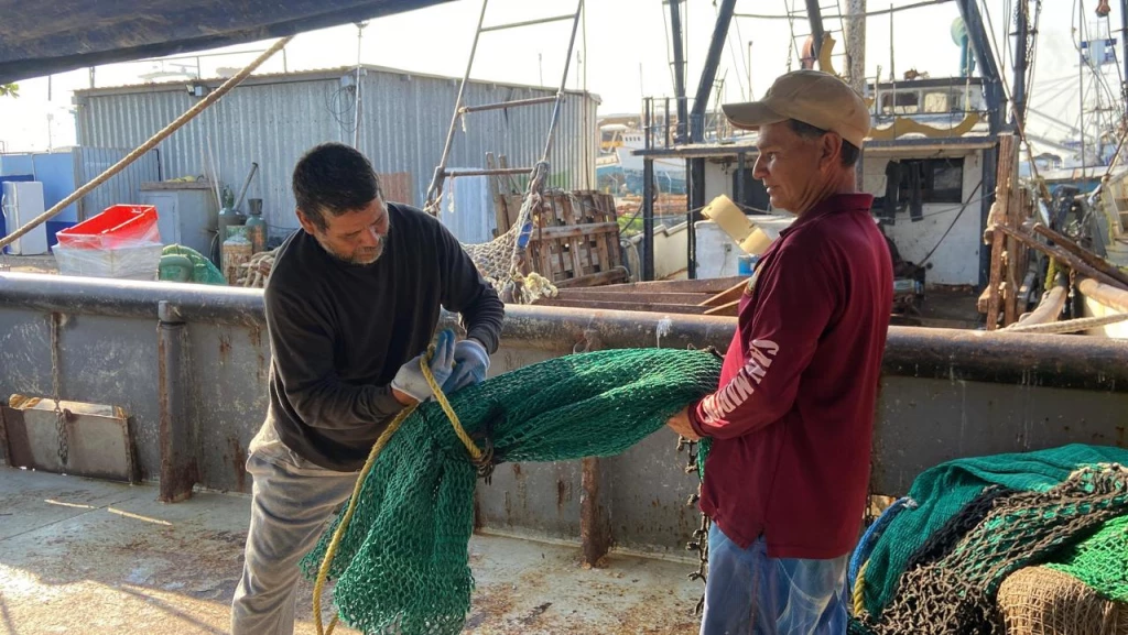 La pesca del camarón, un sustento de miles de familias sinaloenses