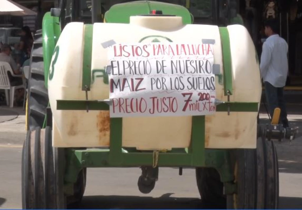Por lo menos 7 mil pesos por tonelada de maíz piden agricultores