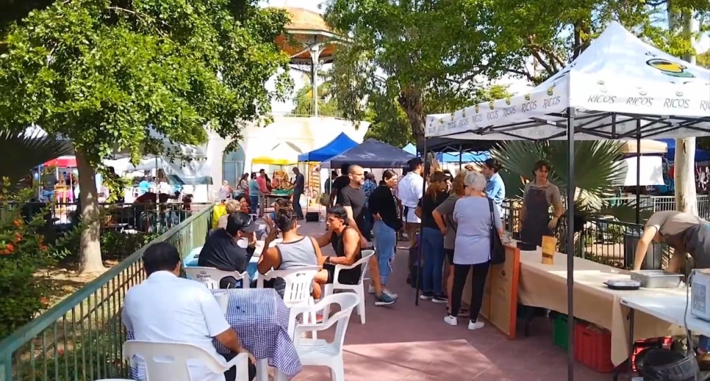 Quince años de comunidad y sustentabilidad en el Mercado Orgánico de Mazatlán