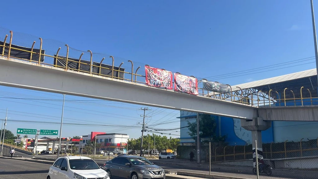 Lonas instaladas por colectivo fueron retiradas por los concesionarios de puentes peatonales: Estrella Palacios