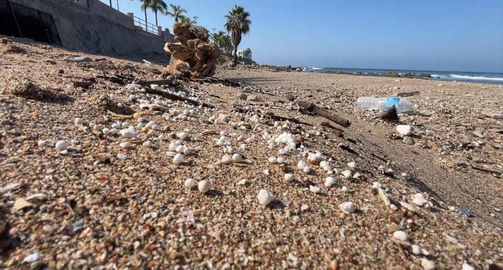 Aumenta la contaminación por residuos de unicel en playas de Mazatlán