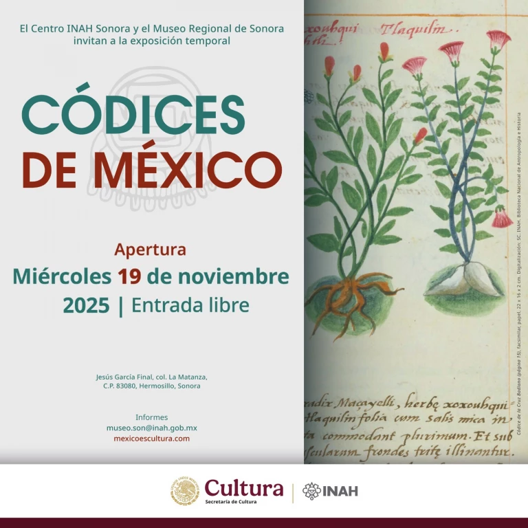 Exposición de códices mexicanos llega a Hermosillo