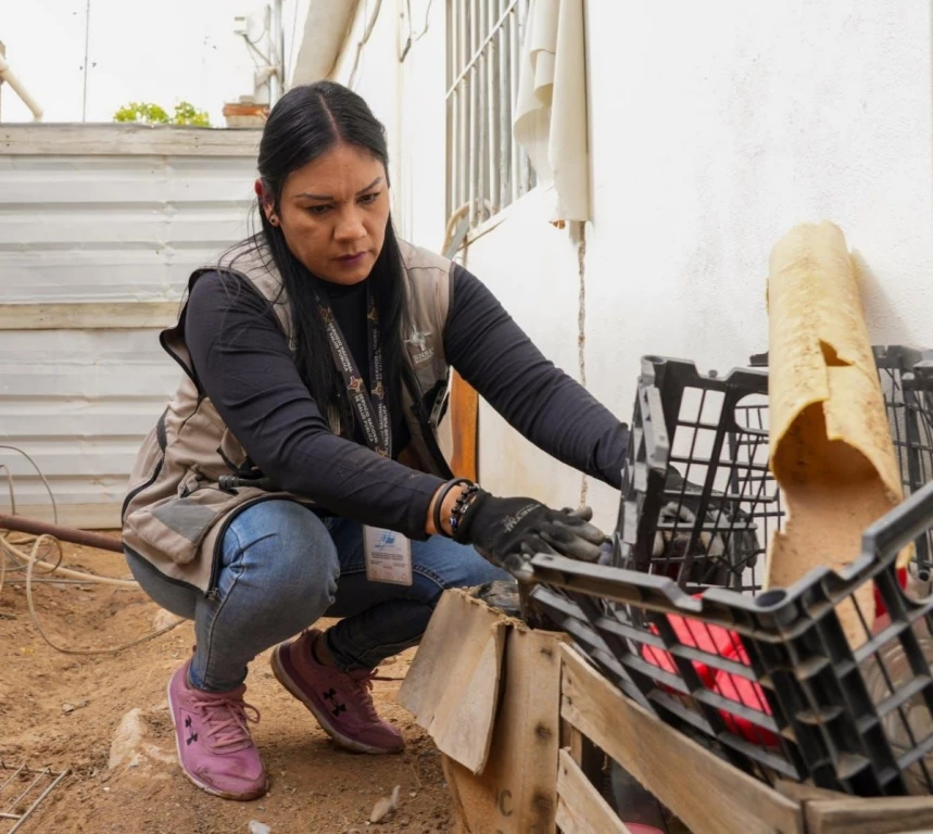 Salud Sonora llama a eliminar la maleza en hogares para combatir el dengue