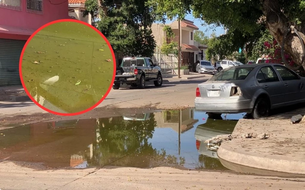 Reportan drenajes anegados en Morelos y calle Yucatán en Los Mochis
