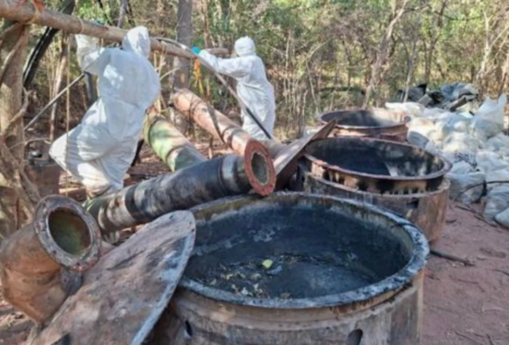 Desmantelan 14 aéreas de almacenamiento de químicos en Sinaloa