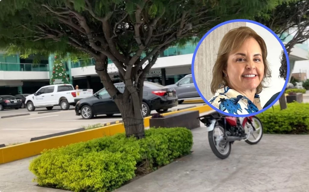 Empresarios de Los Mochis se suman a programas de reforestación urbana