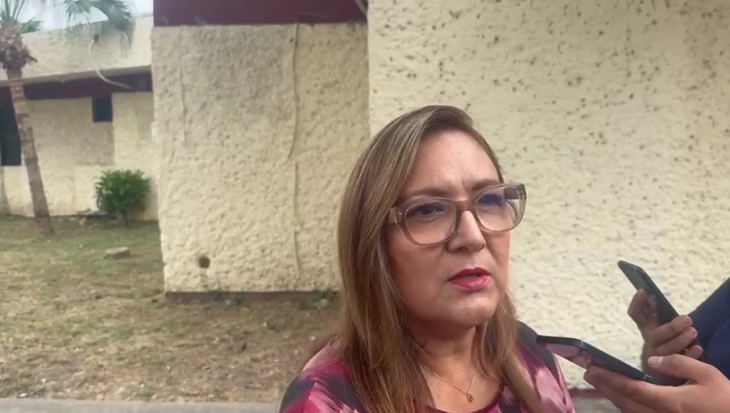 Importante diferenciar “bajones de ánimo” con la depresión