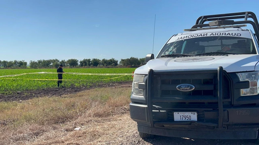 Localizan a hombre ejecutado en parcelas del poblado El Quemadito, al sur de Culiacán