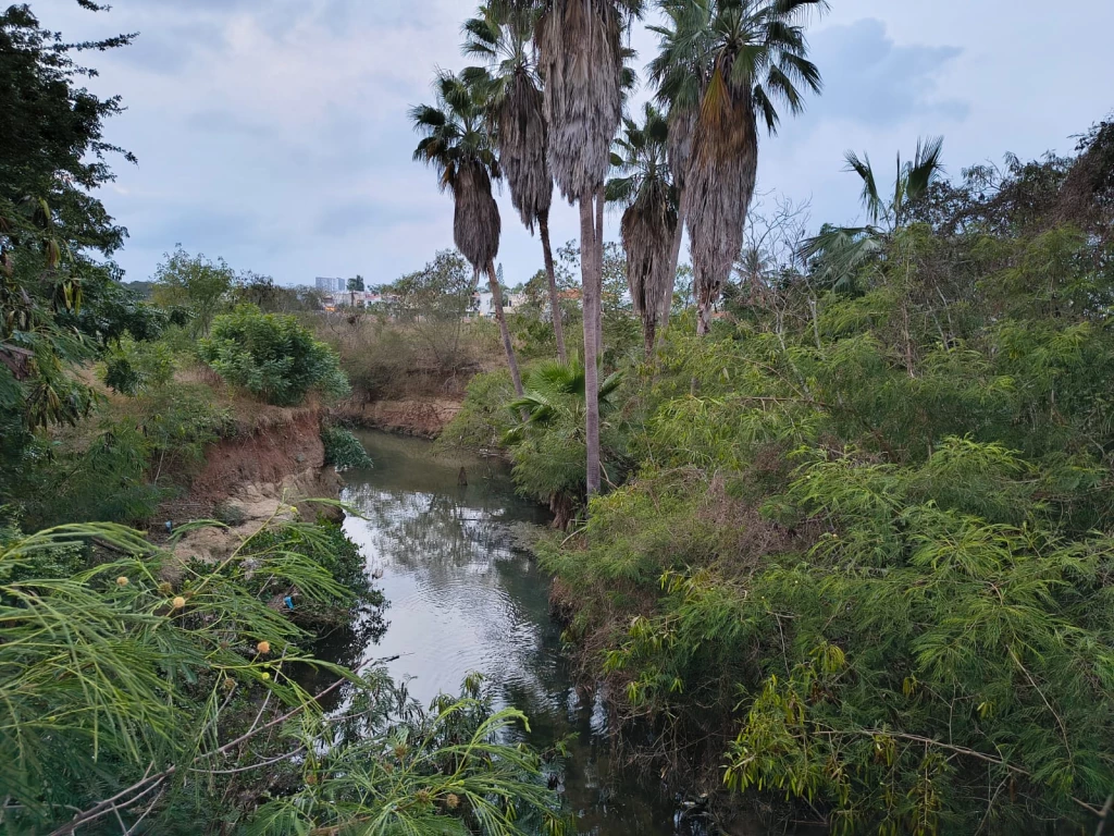 Localizan cuerpo putrefacto de hombre en canal pluvial de Mazatlán