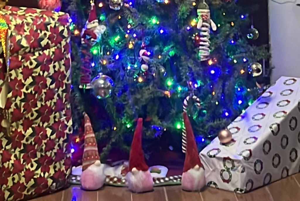 Llama a extremar cuidados en casa durante celebración del año nuevo