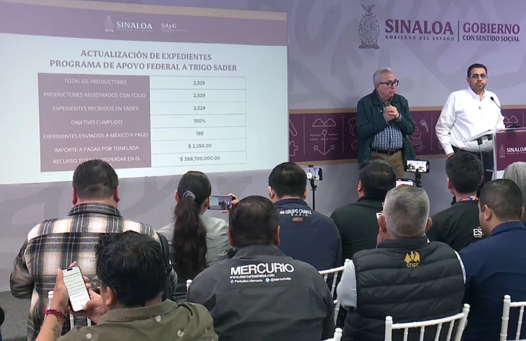 Avanzan apoyos a productores de trigo en cinco municipios de Sinaloa